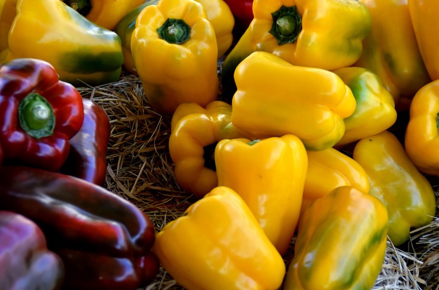 Як виростити солодкий перець у відкритому ґрунті