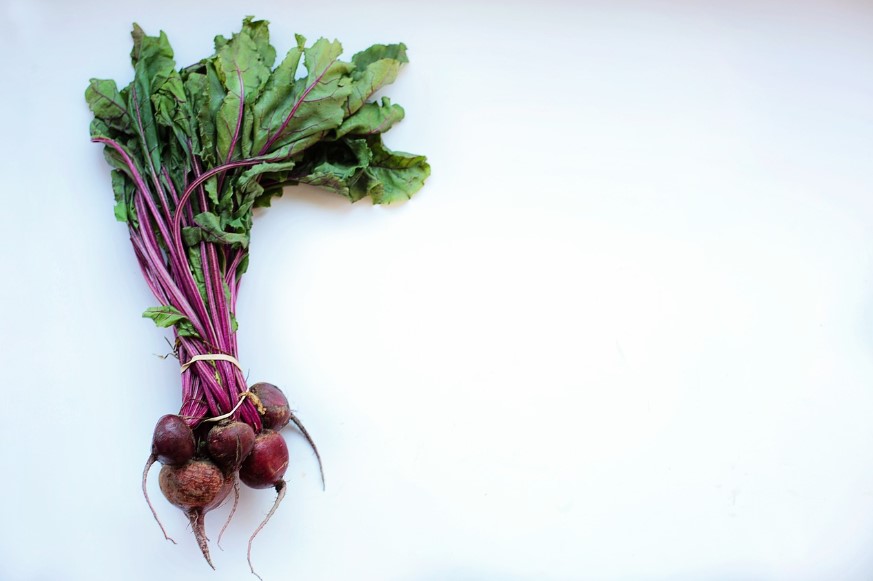 Посадка свеклы в открытый грунт