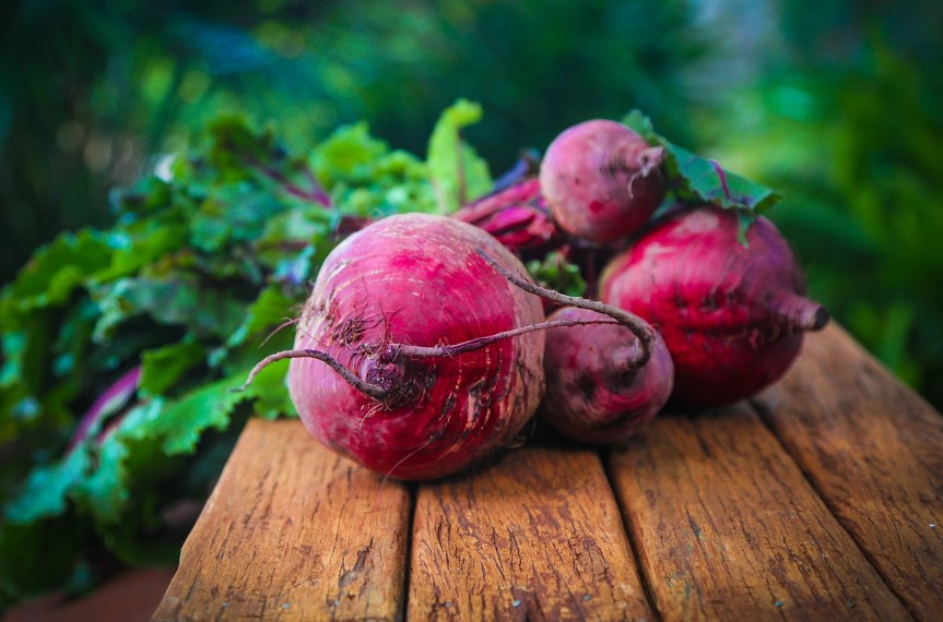 Підготовка грядок для посіву буряка