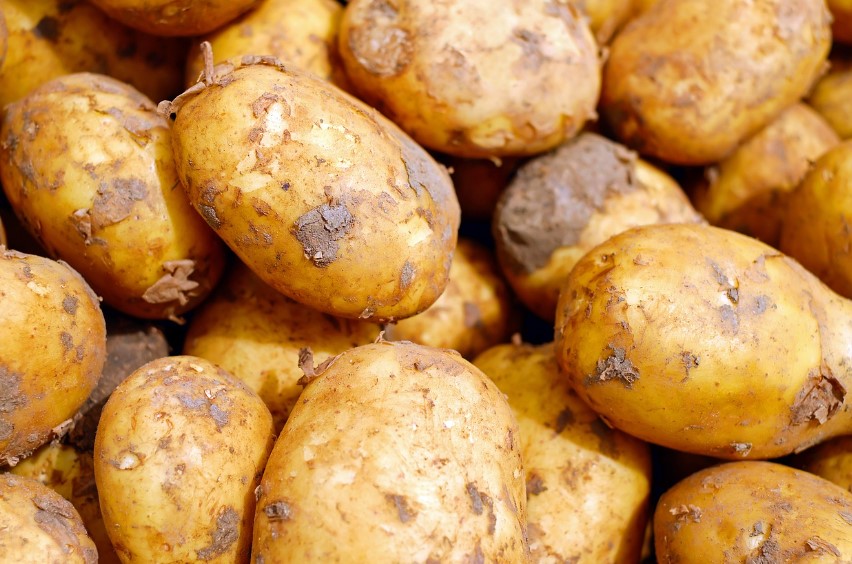 как правильно садить картофель